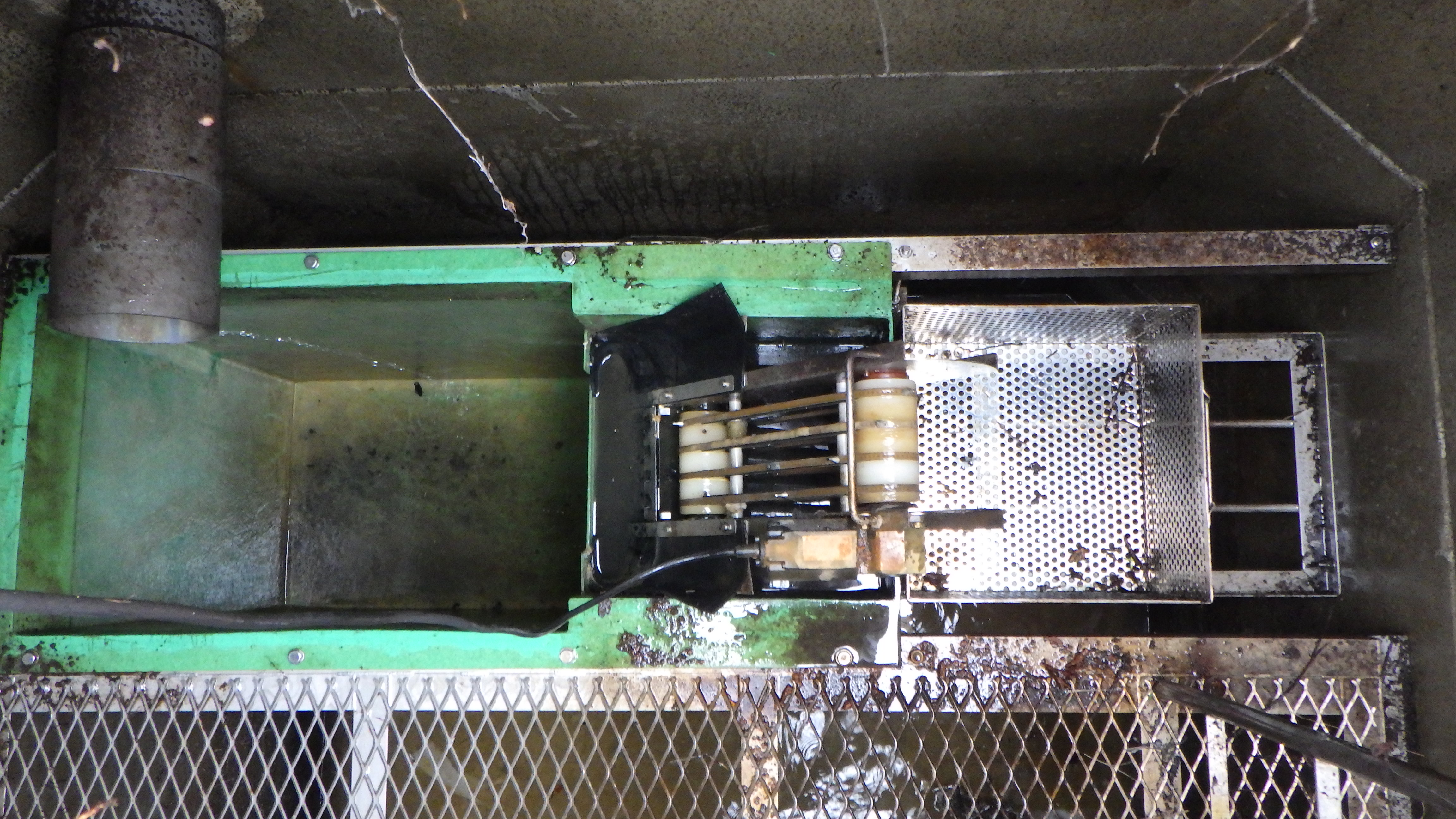 RIMG3172